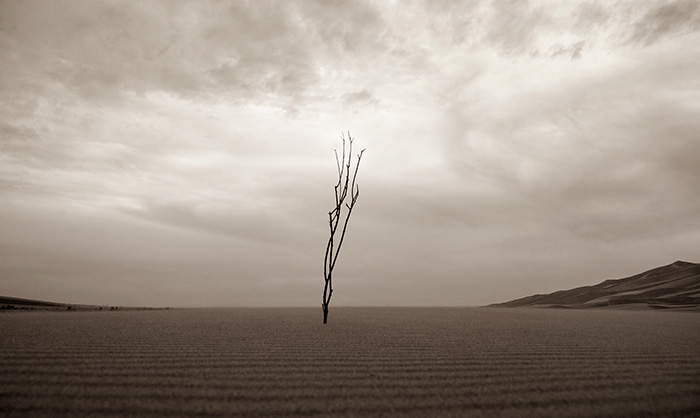 In The Dunes #1