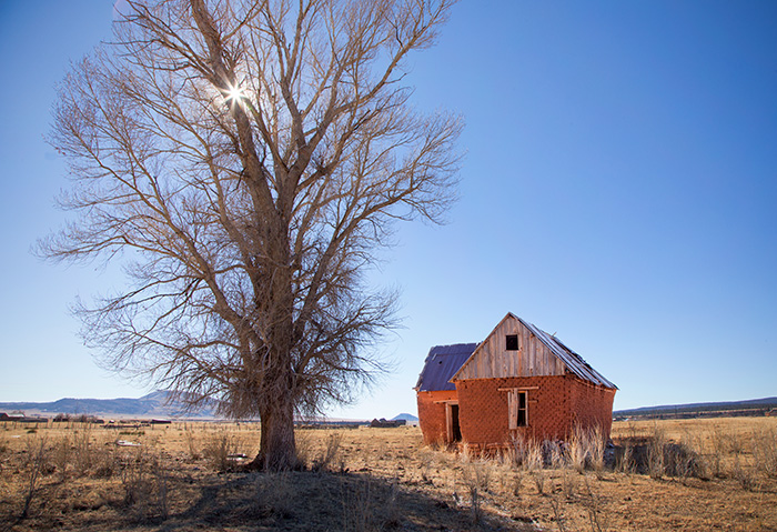 The Old Homestead #2