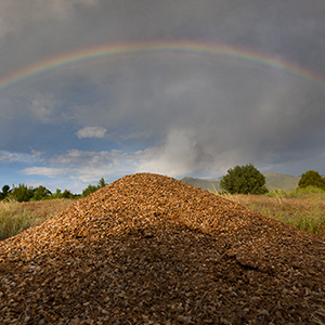 Rainbow over anthill