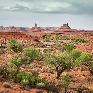 Lime Creek, Valley Of The Gods, Utah