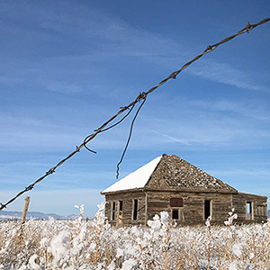 Snow Day Photo Tour, San Luis Valley
