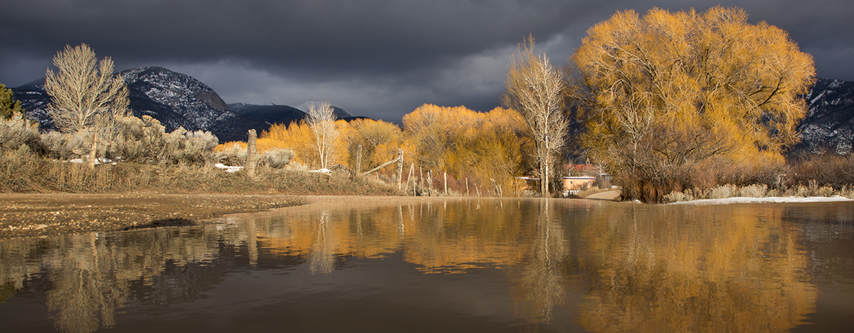 Arroyo Seco Cottonwood Reflections