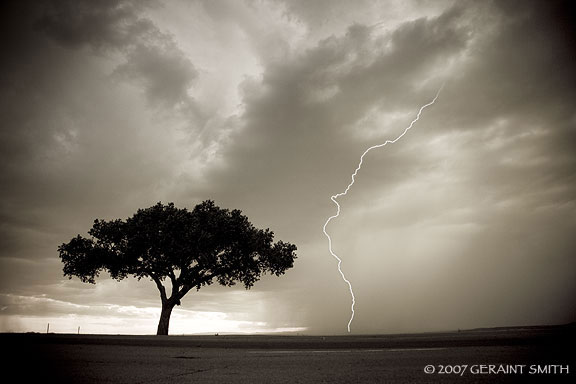 Lightning and the 'lone tree' in a recent storm at the Rio Grande Gorge overlook, Taos NM