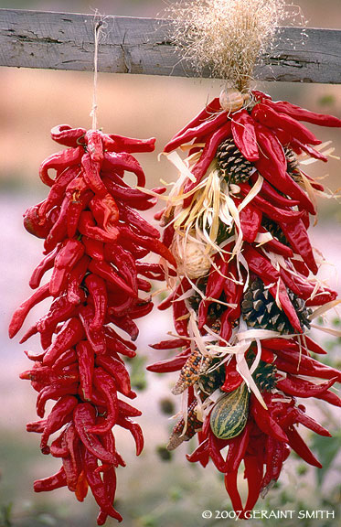 A New Mexico icon, chili ristras, take me back to a road trip I made to Taos in 1985.