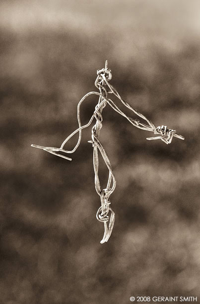 Wire Dance, one from the wired west series