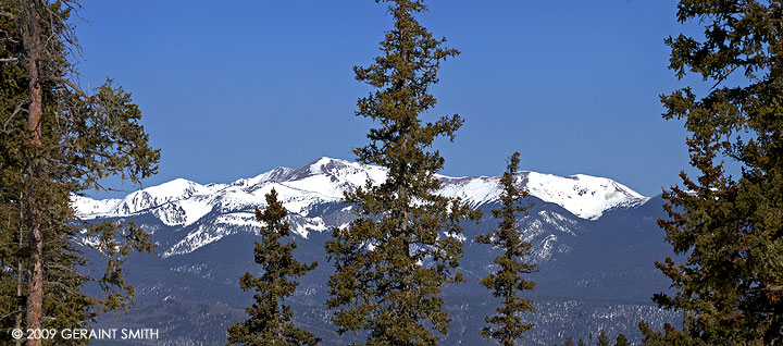 For the record, Wheeler Peak through the trees above Angel Fire