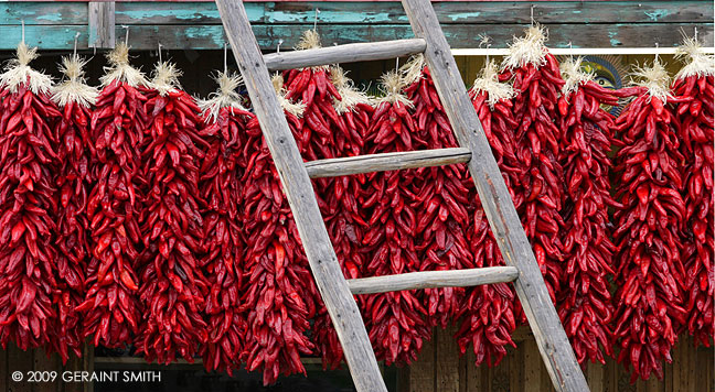 New crop of red chilis in Taos, NM