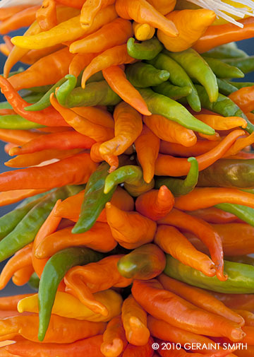 New chili harvest at the Taos Farmers Market