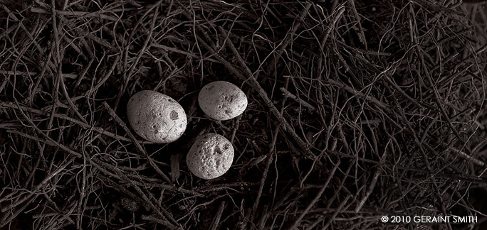 Three stones in a magpie nest 