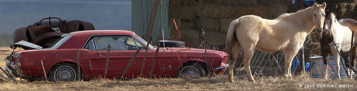 A stabled red Mustang near Mora, NM