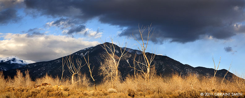 Taos Mountain and bare trees