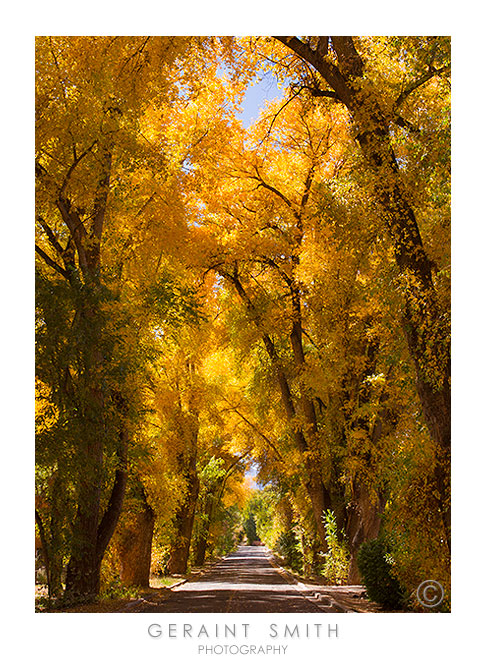 Beautiful Burch Street in Taos, NM