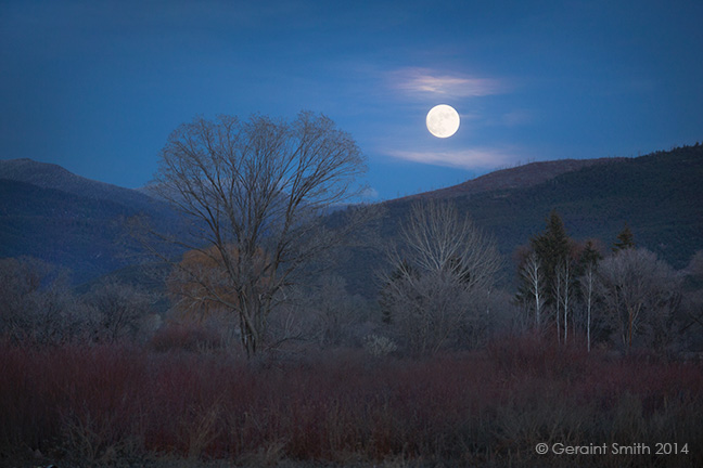 Winter moon and winter colors