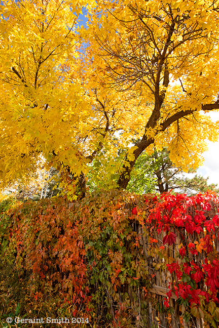 Fall colors on Morada Lane in Taos, New Mexico