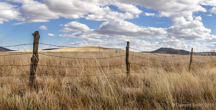 Grasslands in eastern New Mexico