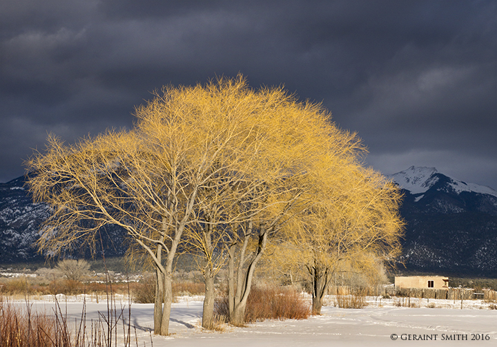 Winter light on the Taos landscape red willows mountains