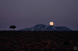 2013 April 26, Taos Mountain, la Luna, the mesa and a tree