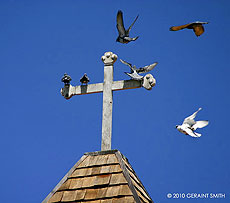 arroyo seco church and pigeons