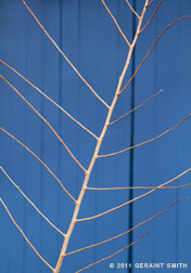 2012 January 03  Taos blue