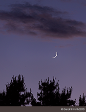 2015 June 19: Crescent moon and pine tree candles from San Cristobal