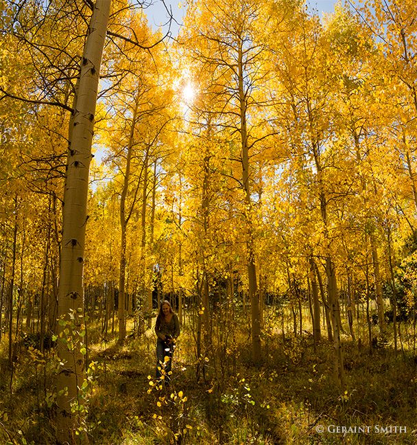 Garcia Park, New Mexico, making images in the aspens.