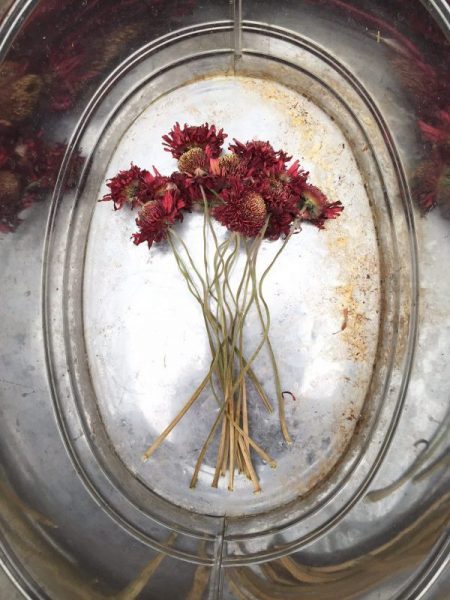 End of summer bouquet Flowers in reflection