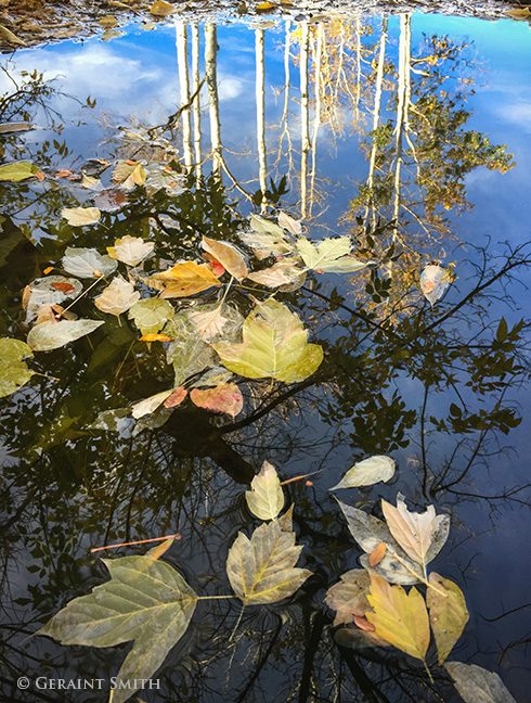autumn pond el prado new mexico