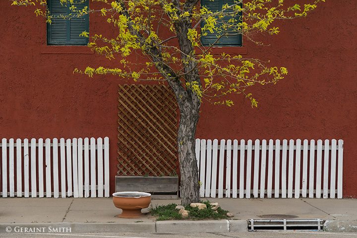 A tree a red wall and a white picket fence