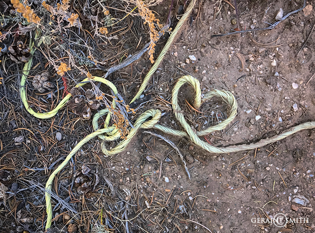Heart of rope on the ranch today