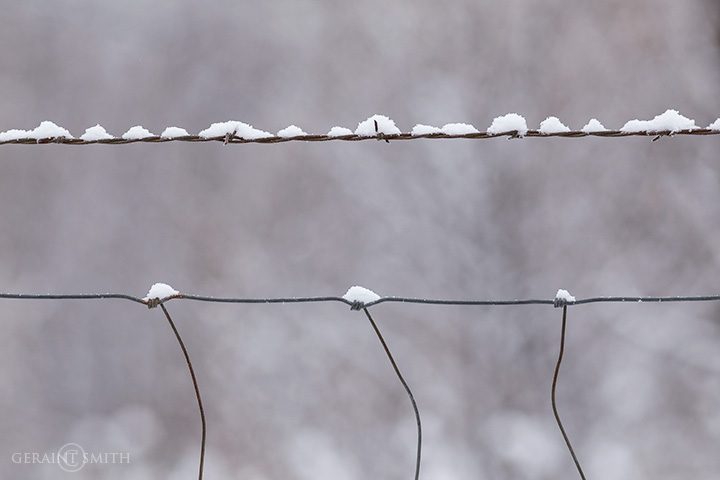 Winter Notes On A Fence