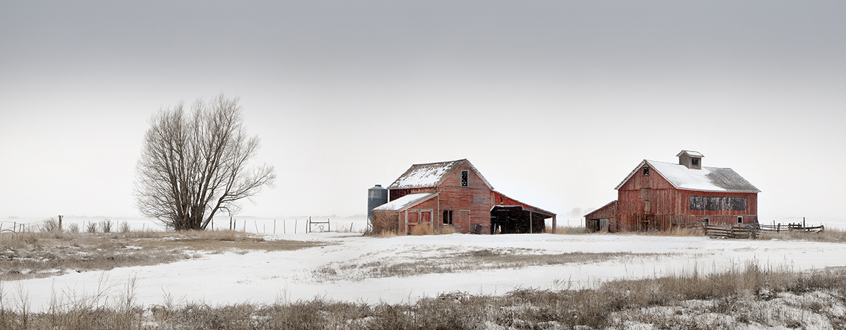 Red Barns Colorado