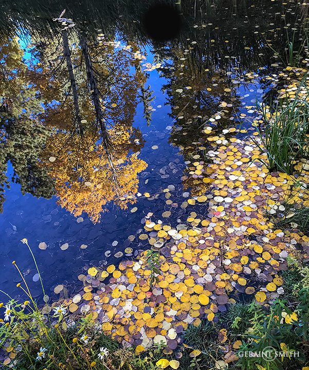 Autumn Pond in the Sangre De Cristos