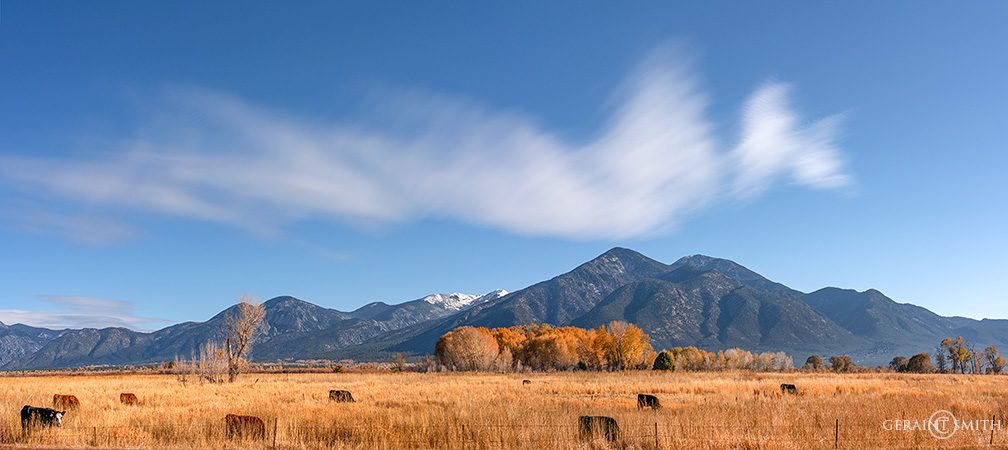 Taos Mountain, Meadow, Wild Cloud