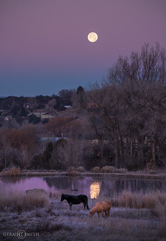 Arroyo Hondo Pond, Horses. Moon Set 