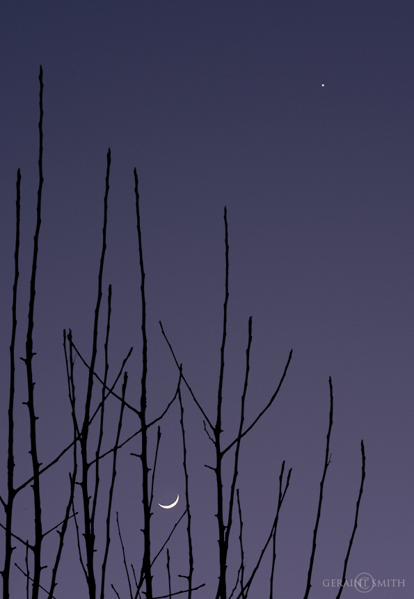 Apple Tree, Crescent Moon, Venus