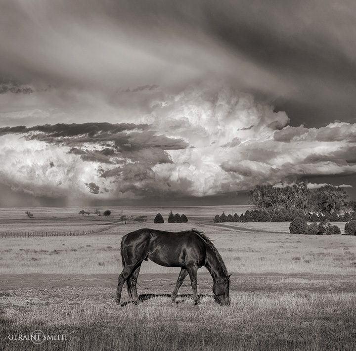 Highway Pony, Wagon Mound, NM