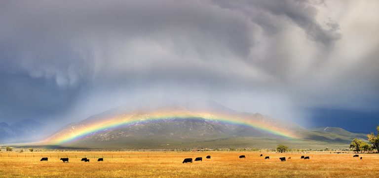 el prado rainbow 0668 74