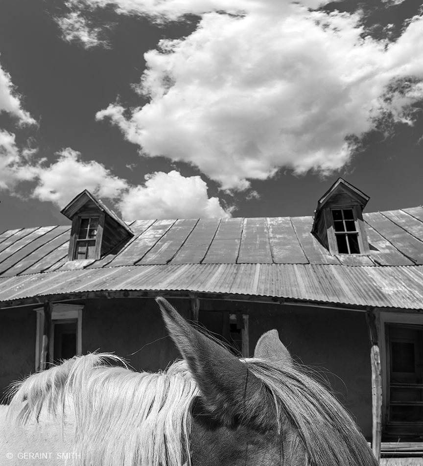 Horse and dormer windows