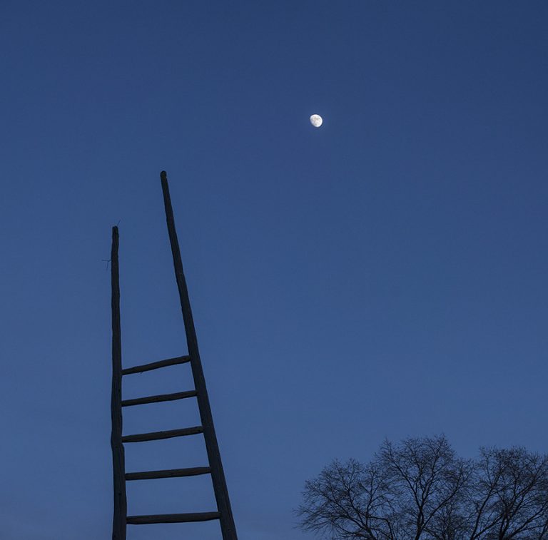 el prado moon ladder 1315 1316