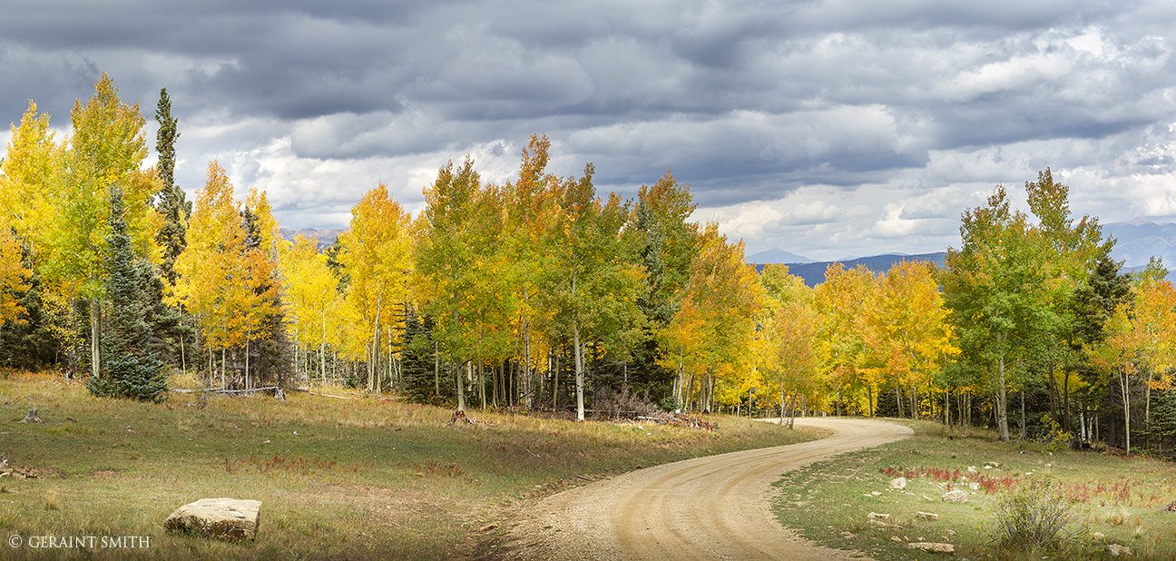 Aspen road, in the mountains of northern New Mexico