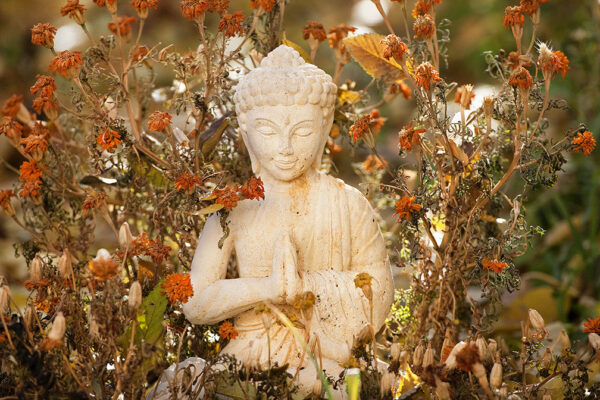garden buddha 8860