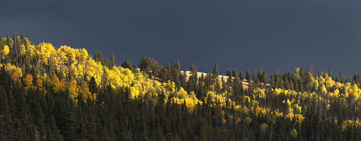 aspens valle vidal sm