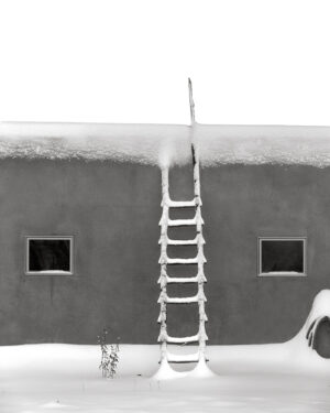 Winter Snow Ladder