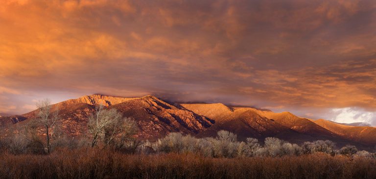 Taos Mountain Willows, Cottonwood, Sunset