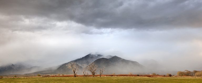 Taos Mountain Mists