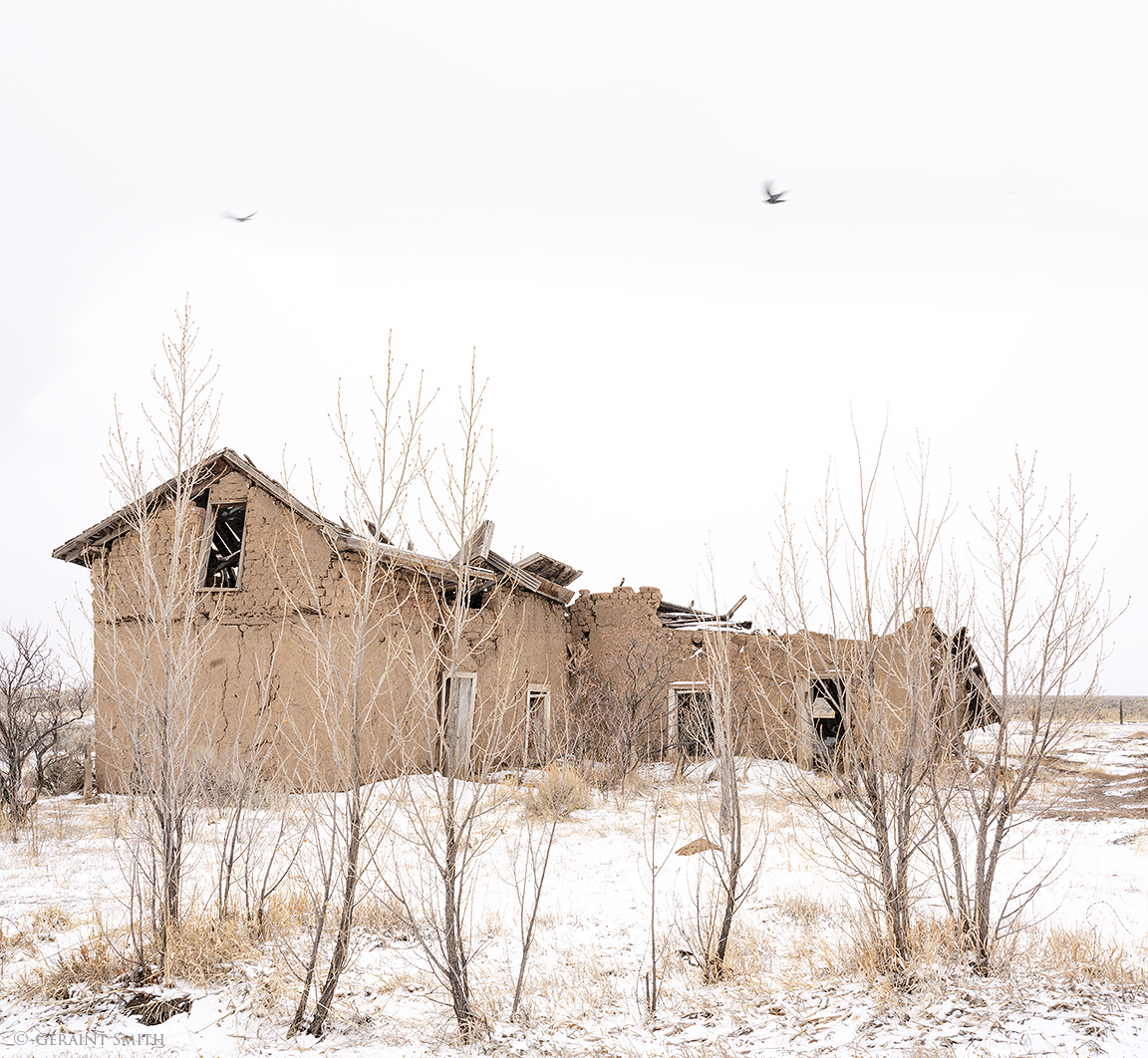 Garcia, Abandoned Homestead