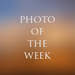 Photo of the week