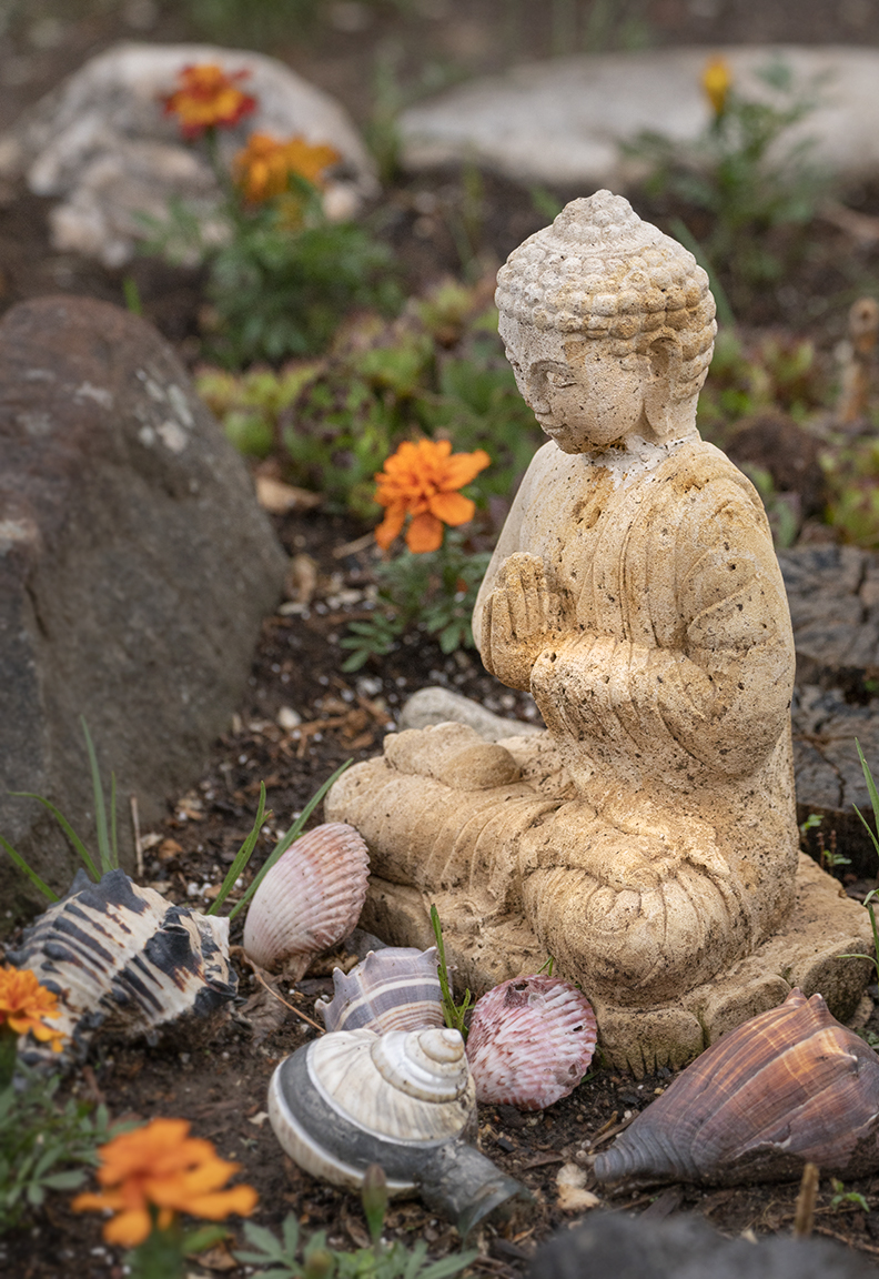 Garden Buddha