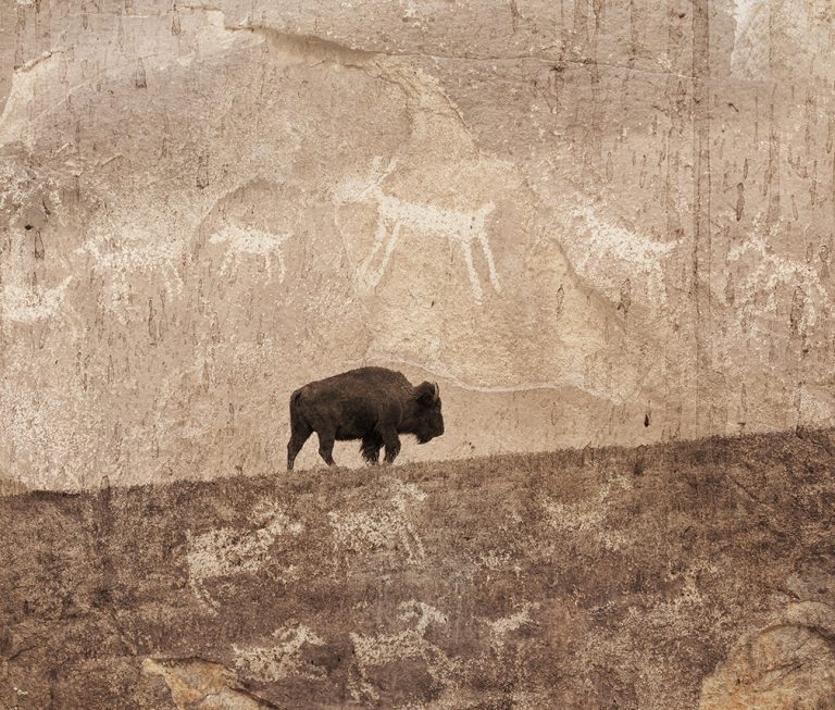 Bison and Petroglyphs