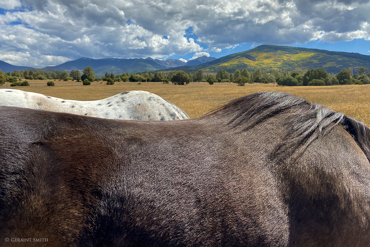 Horse backs Truchas NM